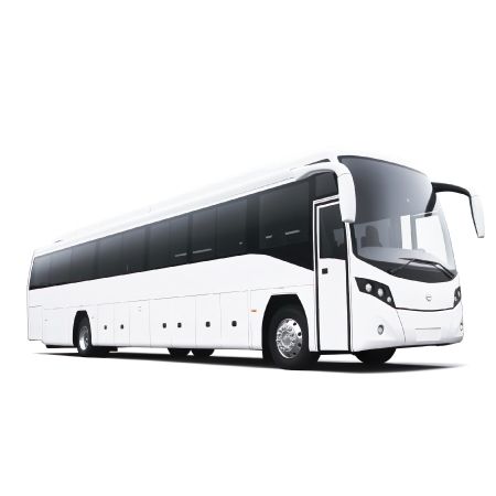 ezygo